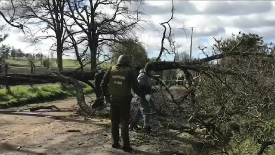 Motociclista muere tras chocar con barricada en La Araucanía Motociclista muere tras chocar con barricada en La Araucanía