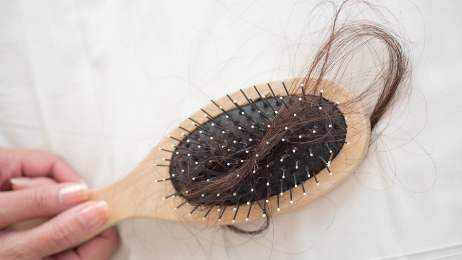 ¿Por qué se cae el pelo en cuarentena? Los motivos y cómo combatir este problema ¿Por qué se cae el pelo en cuarentena? Los motivos y cómo combatir este problema