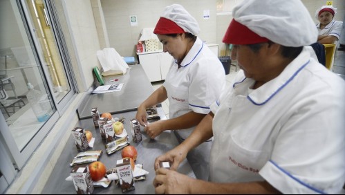 Junaeb inicia nuevo proceso de entrega de canastas de alimentación: Revisa quiénes las reciben