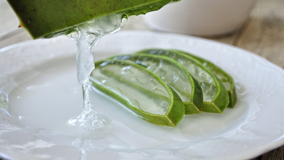 Conoce los beneficios hidratantes y antiinflamatorias del Aloe Vera Conoce los beneficios hidratantes y antiinflamatorias del Aloe Vera