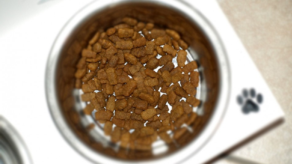 Sernac abre consulta ciudadana por productos de marca de comida para perros: Buscan compensación Sernac abre consulta ciudadana por productos de marca de comida para perros: Buscan compensación