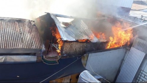 Tres niños mueren en incendio de una casa en la comuna de Lo Prado