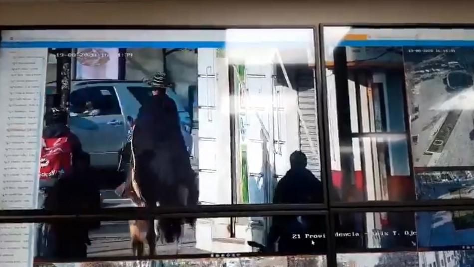 Matthei muestra video de sujeto cabalgando en Providencia: Matthei muestra video de sujeto cabalgando en Providencia:
