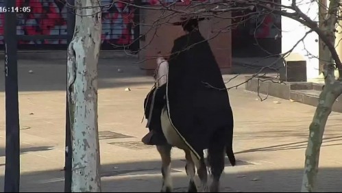 La historia de 'El Zorro' captado en Providencia: Colabora en ollas comunes