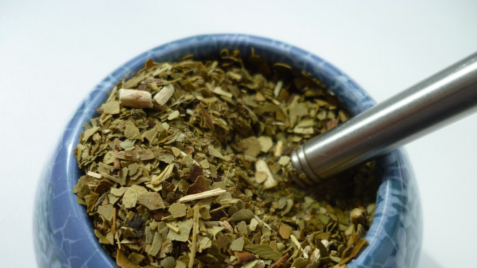 Los beneficios que aporta la yerba mate al sistema digestivo Los beneficios que aporta la yerba mate al sistema digestivo
