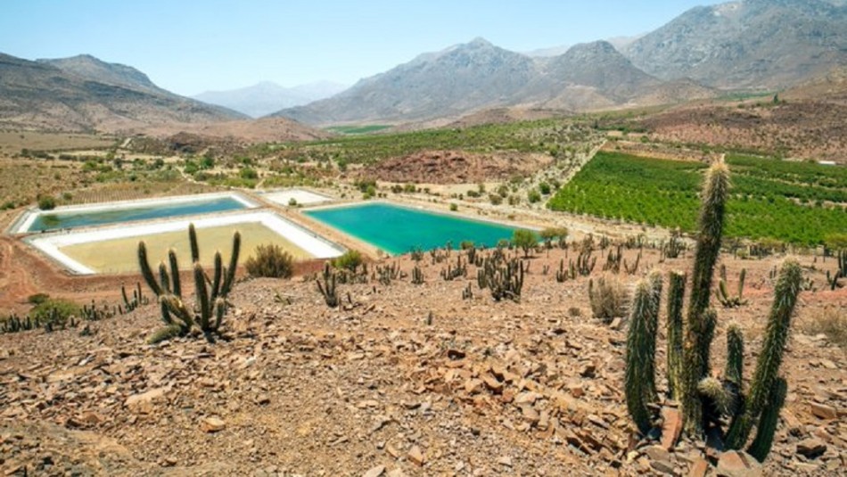 ONU llama a Chile a priorizar el derecho al agua y a la salud antes que los intereses económicos ONU llama a Chile a priorizar el derecho al agua y a la salud antes que los intereses económicos