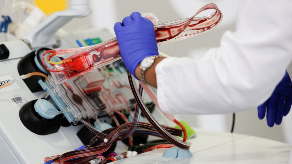 EE.UU. autoriza uso de plasma de pacientes recuperados de coronavirus EE.UU. autoriza uso de plasma de pacientes recuperados de coronavirus