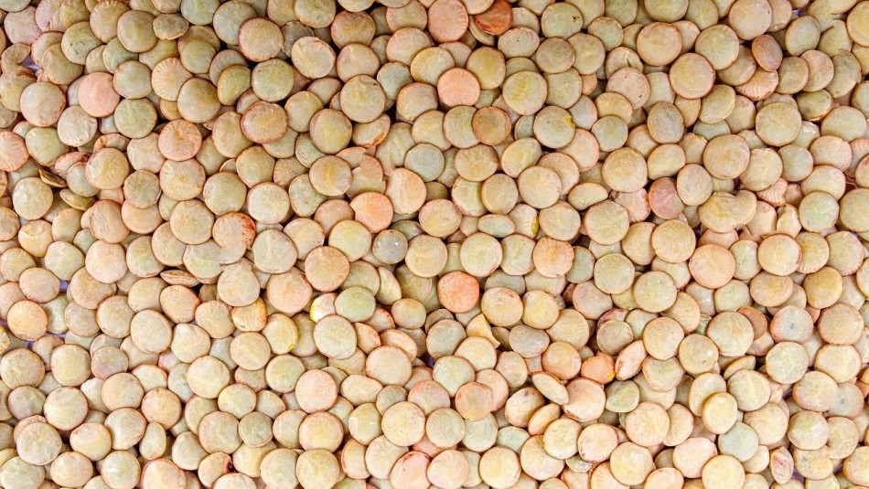 Ricas en fibra y proteína: los beneficios que aportan las lentejas a tu salud Ricas en fibra y proteína: los beneficios que aportan las lentejas a tu salud