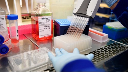 Se administra sin aguja: Vacuna contra el coronavirus comenzaría ensayos en septiembre de 2020