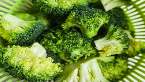 A comer brócoli: Este vegetal poco popular previene enfermedades de los vasos sanguíneos