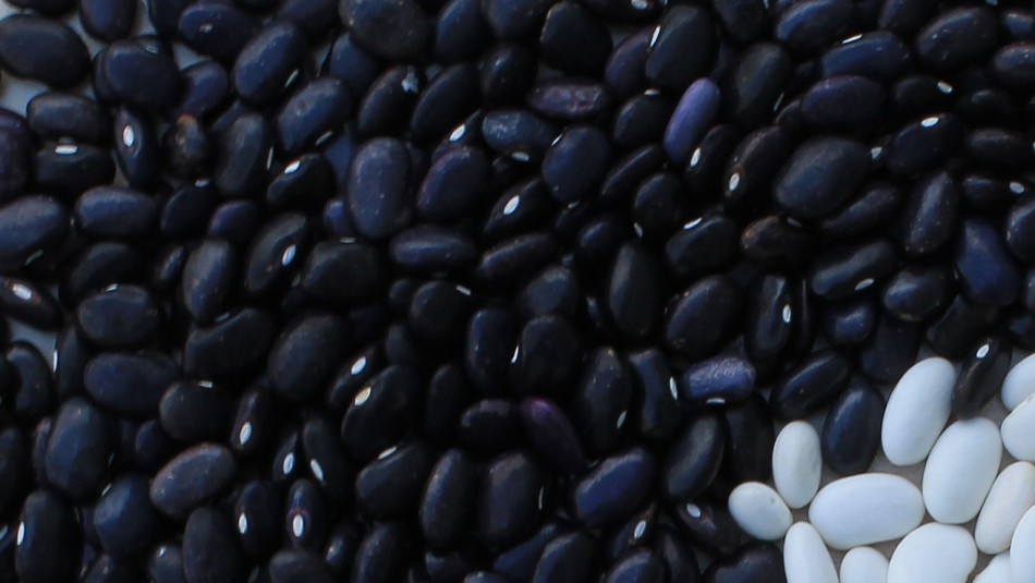 Estos son los beneficios que aportan a tu salud los porotos negros: Huesos lo agradecerán Estos son los beneficios que aportan a tu salud los porotos negros: Huesos lo agradecerán
