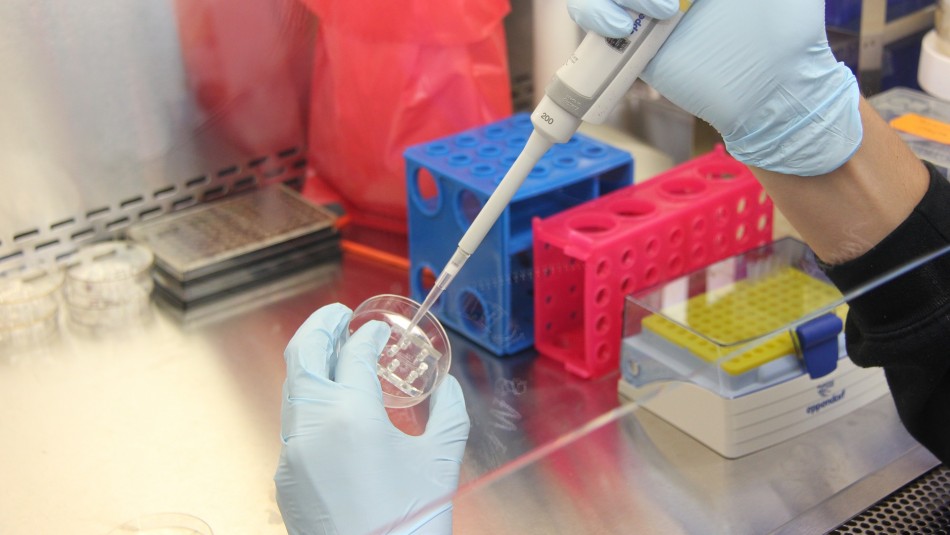 Prueba exitosa: Vacuna intranasal contra el coronavirus generó anticuerpos Prueba exitosa: Vacuna intranasal contra el coronavirus generó anticuerpos