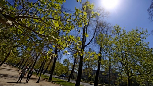 ¿Cuándo empieza la primavera?: Meteorólogo Jaime Leyton adelanta día y hora exacta