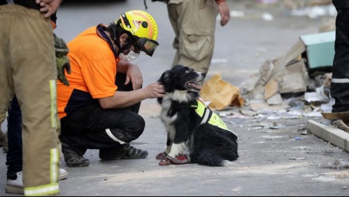 'Topos' chilenos detectan señales de vida entre escombros de la explosión de Beirut