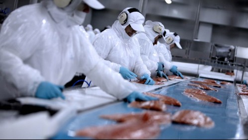 'Para retribuirles el gran esfuerzo': Empresa chilena entrega a trabajadores el 20% de acciones