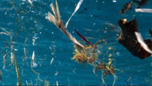 Tecnología al servicio del medioambiente: El problema de la basura marina