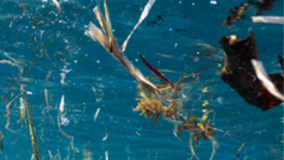 Tecnología al servicio del medioambiente: El problema de la basura marina Tecnología al servicio del medioambiente: El problema de la basura marina