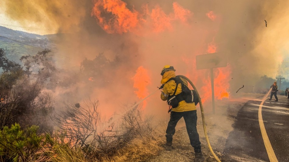 Pareja celebra con fuegos artificiales fiesta por su bebé y provoca incendio forestal Pareja celebra con fuegos artificiales fiesta por su bebé y provoca incendio forestal