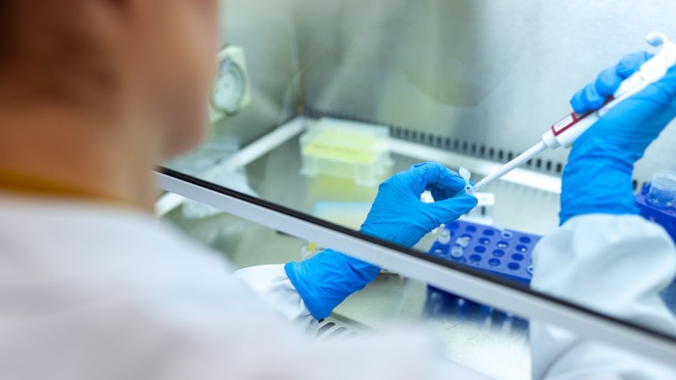 Una prueba rápida puede pronosticar si algún medicamento puede afectar el hígado Una prueba rápida puede pronosticar si algún medicamento puede afectar el hígado