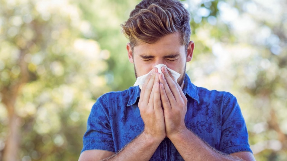 Congestión nasal y picor en la garganta: Conoce los síntomas de la alergia primaveral Congestión nasal y picor en la garganta: Conoce los síntomas de la alergia primaveral