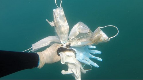 'Más mascarillas que medusas': La pandemia de plástico que afecta a los ecosistemas marinos