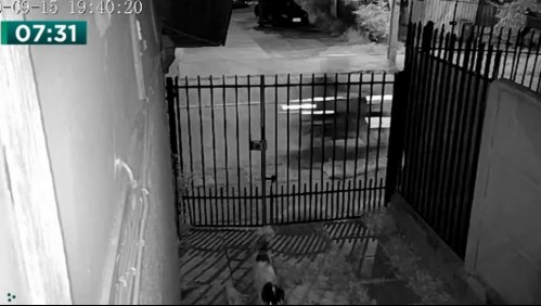 Carabinero frustra encerrona mientras estaba acompañado de su hijo menor de edad