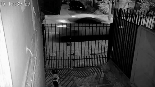 'Ver a tu hijo en peligro es terrible': Mujer relata violento asalto que sufrió en La Florida