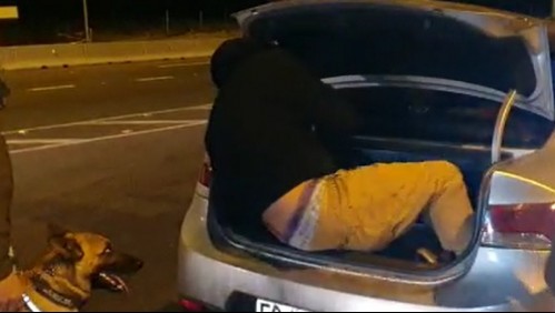 Sorprenden a sujeto dentro del maletero de un auto en fiscalización en Coquimbo
