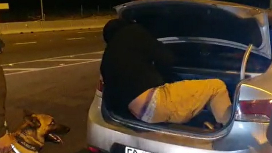 Sorprenden a sujeto dentro del maletero de un auto en fiscalización en Coquimbo Sorprenden a sujeto dentro del maletero de un auto en fiscalización en Coquimbo