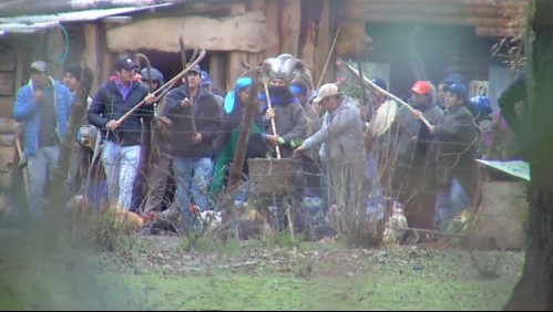 Machi Celestino Córdova realiza ceremonia espiritual mapuche en su rewe