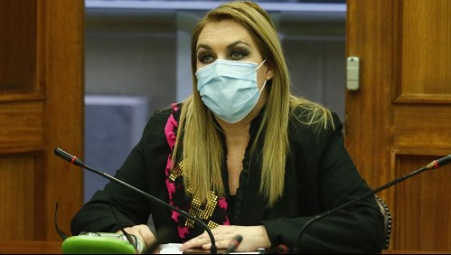 Partido Humanista califica a Pamela Jiles como 'figura presidencial'
