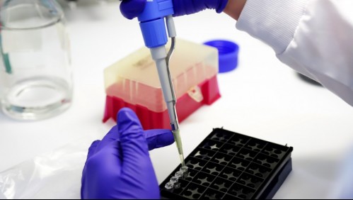 Grupo farmacéutico lanza un ensayo cuantitativo de anticuerpos contra el coronavirus