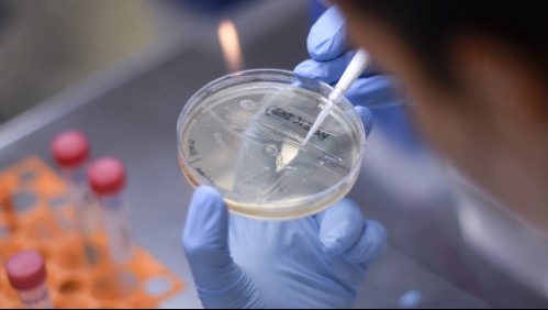 Más de 3.000 personas enfermaron tras fuga de una bacteria desde un laboratorio en China
