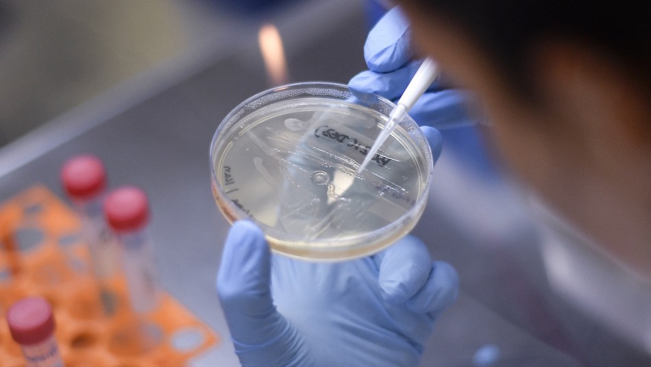 Imagen referencial Más de 3.000 personas enfermaron tras fuga de una bacteria desde un laboratorio en China
