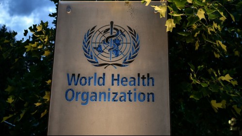 Organización Mundial de la Salud aprueba investigar remedios naturales contra el coronavirus