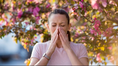 Alergia primaveral: Seis trucos nutricionales que te ayudarán a combatirla