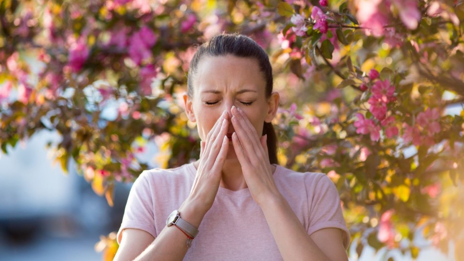 Alergia primaveral: Seis trucos nutricionales que te ayudarán a combatirla Alergia primaveral: Seis trucos nutricionales que te ayudarán a combatirla