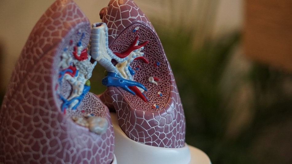 Advierten que la fatiga crónica puede ser una secuela del coronavirus Advierten que la fatiga crónica puede ser una secuela del coronavirus
