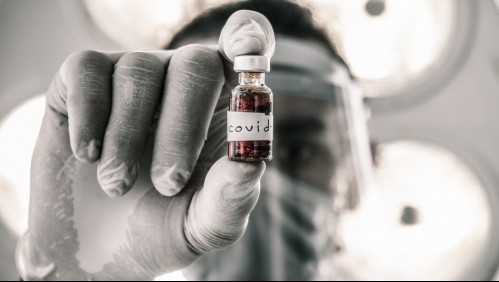 Ivermectina, el prometedor antiparasitorio para curar el coronavirus