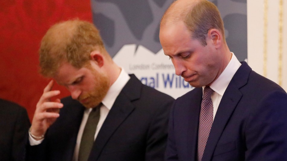 Príncipes Harry y William El dolor de los príncipes Harry y William al recordar su última conversación con Lady Di