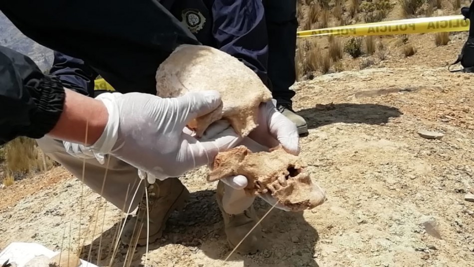 Policía encuentra cinco fosas comunes con Policía encuentra cinco fosas comunes con