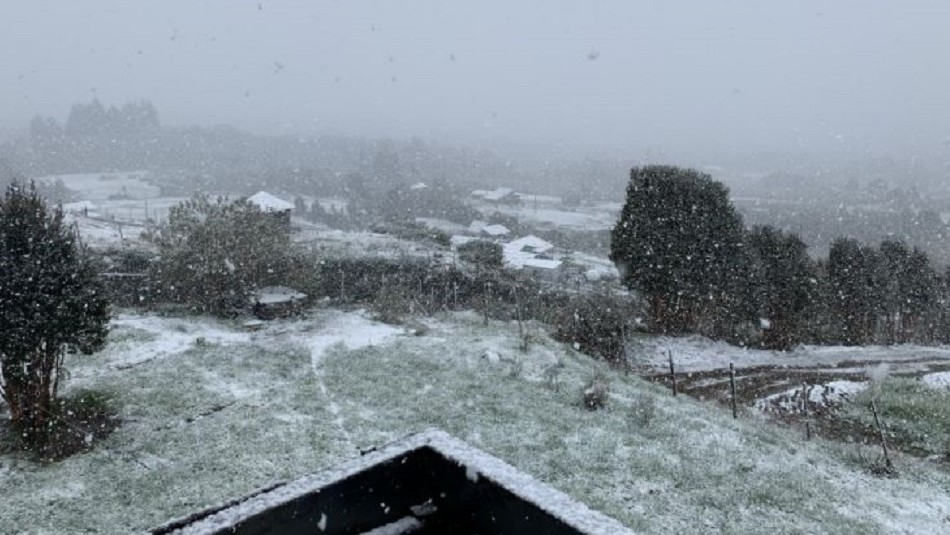 Caída de nieve en Chiloé Inusual nieve se registra en Chiloé: Usuarios suben imágenes del bello fenómeno