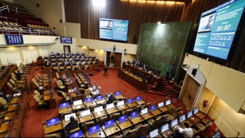 Ingreso Mínimo: Proyecto avanza al Senado pese a rechazo de monto del aumento