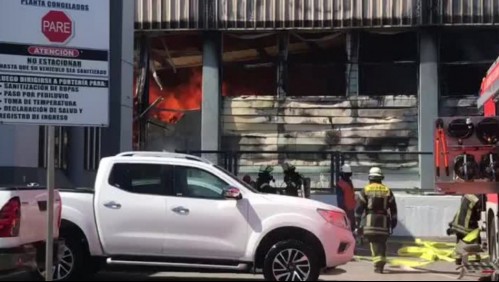 Videos del incendio que afecta a la pesquera Camanchaca en Talcahuano