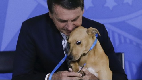 Bolsonaro promulga Ley contra maltrato animal y hace que su perro firme la nueva legislación