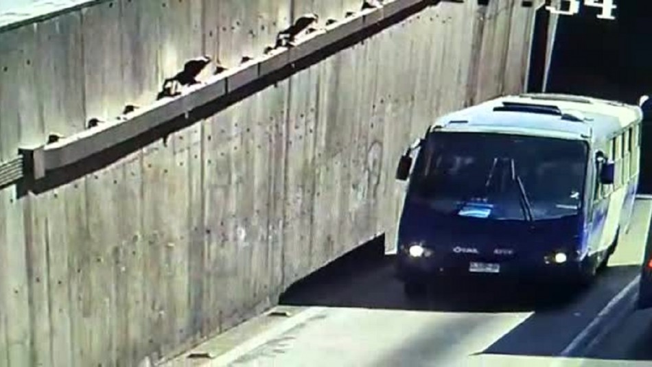 Conductor del Transantiago va al baño y le roban el bus con pasajeros adentro Conductor del Transantiago va al baño y le roban el bus con pasajeros adentro