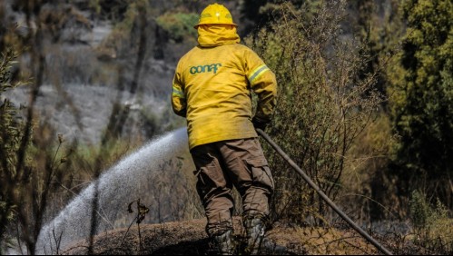 Alerta Roja en Zapallar y Papudo por incendio forestal que consume pastizal y arbolado nativo