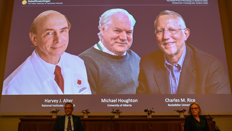 nobel hepatitis c Nobel de Medicina para tres descubridores del virus de la hepatitis C