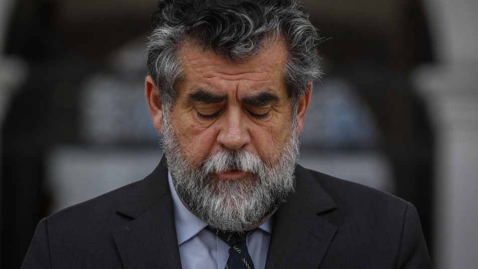 Ubilla: No creo que un carabinero se levante y diga 'voy a tirar a una persona al río Mapocho' Ubilla: No creo que un carabinero se levante y diga 'voy a tirar a una persona al río Mapocho'