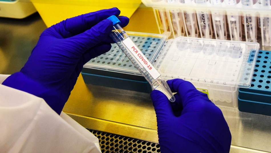 Coronavirus Magallanes Coronavirus: Magallanes registra este martes su cifra más alta de casos nuevos